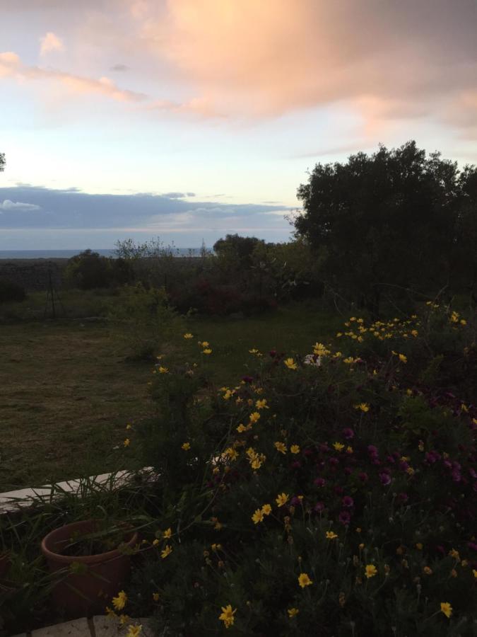 Mareulivi Bed and Breakfast Ostuni Eksteriør billede